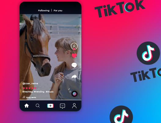 tiktoks met paarden