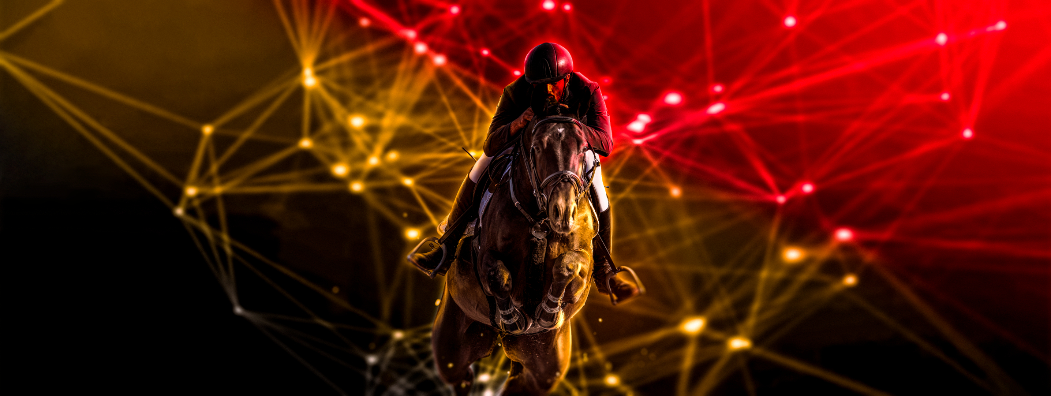 Belgische paardensector trekt naar Wereldexpo in Dubai!